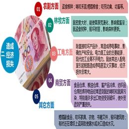 泰安养殖场高效灭鼠策略 结合专业服务与工业互联网数据优势